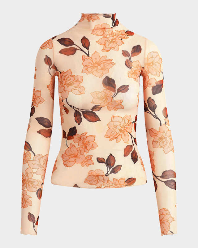 The Sheer Fantasy Turtleneck Top